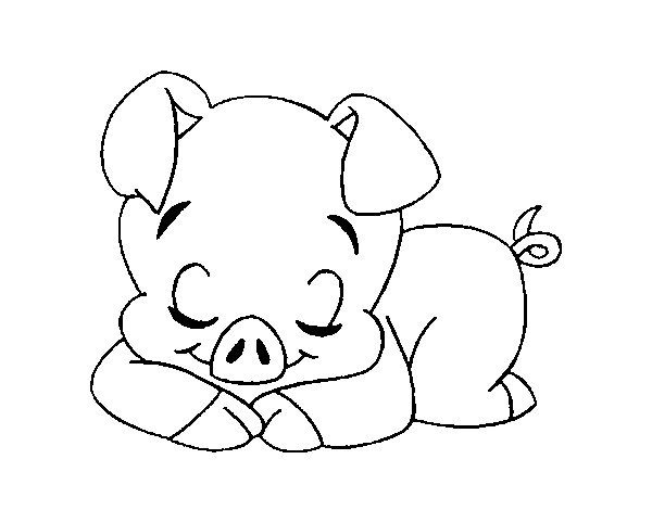 Dibujo De Cerdito Durmiendo Para Colorear Dibujos Net A A