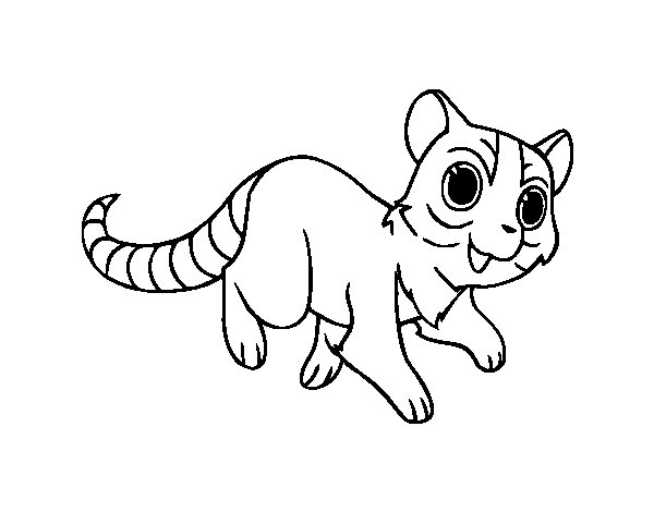 Dibujo de Gato con cola de anillo para Colorear - Dibujos.net