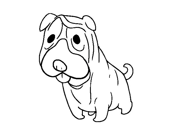 Dibujos Para Colorear Perros Sharpei Imagui